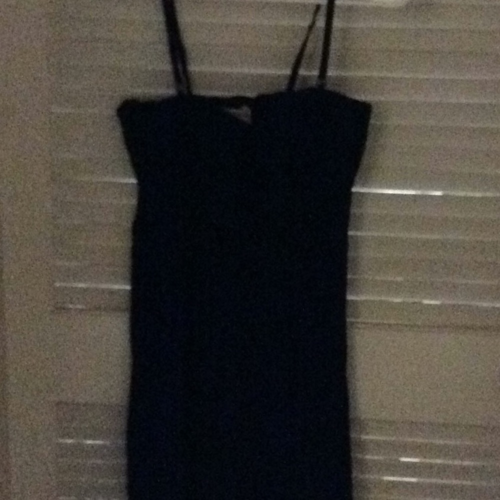 American eagle - Picture 3 of 3